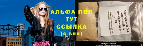 ПСИЛОЦИБИНОВЫЕ ГРИБЫ Касимов