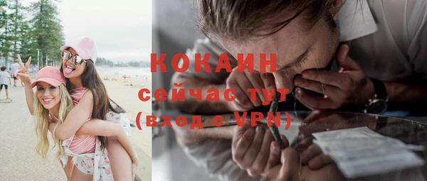 стафф Карпинск