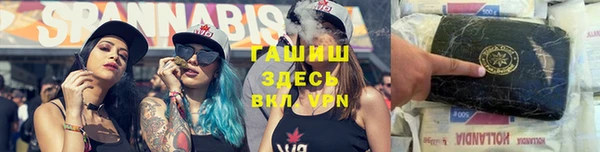 ПСИЛОЦИБИНОВЫЕ ГРИБЫ Касимов