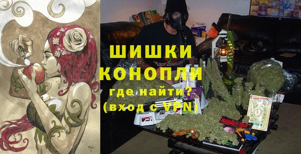 ПСИЛОЦИБИНОВЫЕ ГРИБЫ Касимов