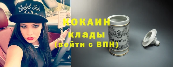 стафф Карпинск