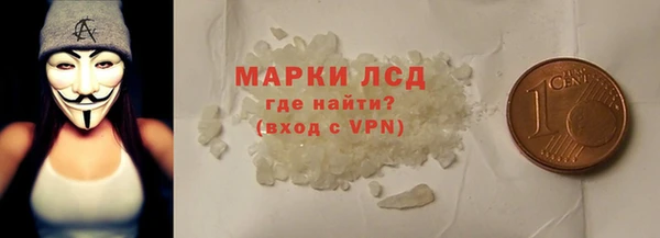 стафф Карпинск