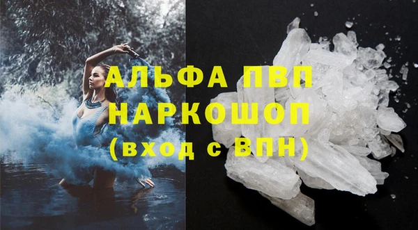 стафф Карпинск