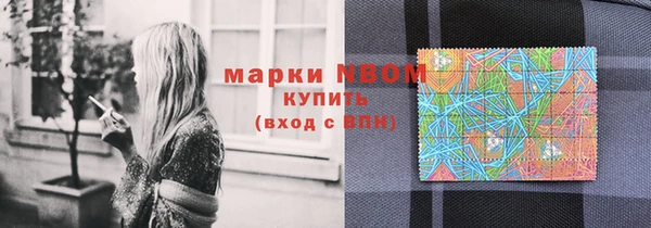 стафф Карпинск