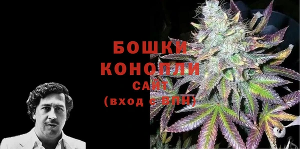 стафф Карпинск