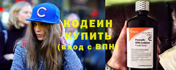 дживик Кострома