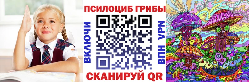 Псилоцибиновые грибы GOLDEN TEACHER  Купить  Жиздра 